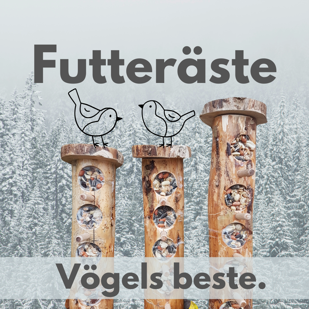 Futteräste, Vogelfutterstation, Futterstation