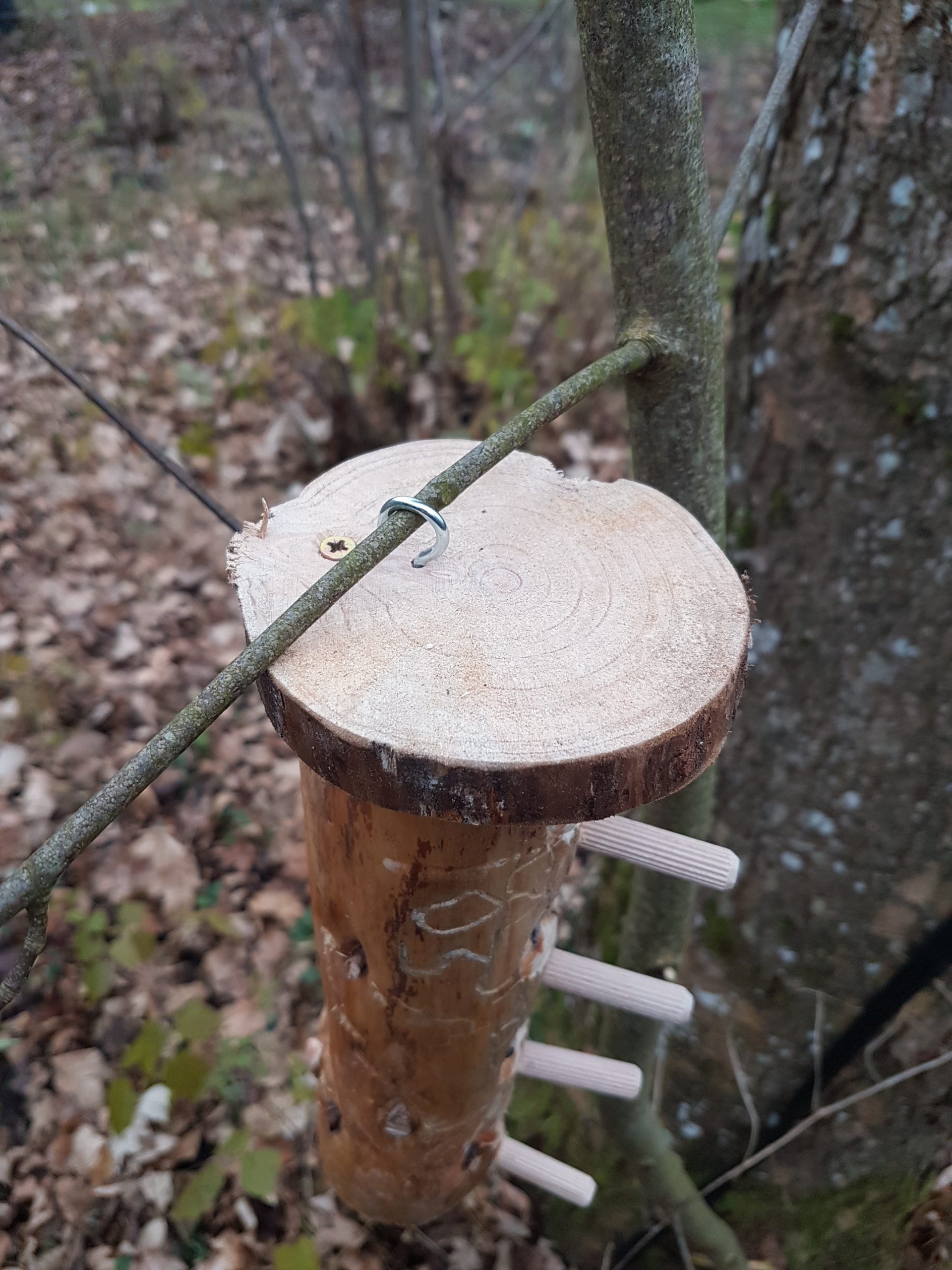 Futteräste, Vogelfutterstation, Futterstation